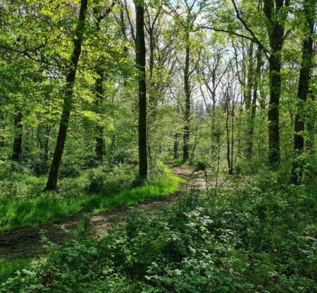 cherche femme pour pratiques uro