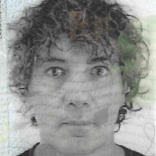 A votre disposition Mesdames (gratuit)