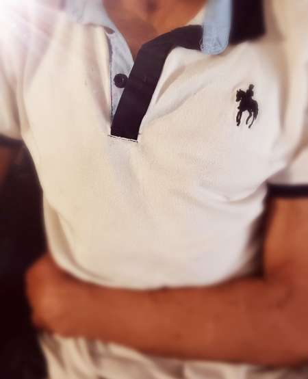 pur sang arabe vigoureux