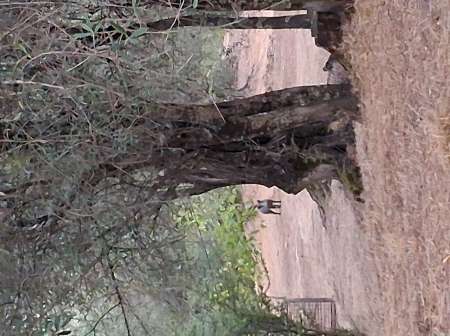 Cherche �tudiante agr�able