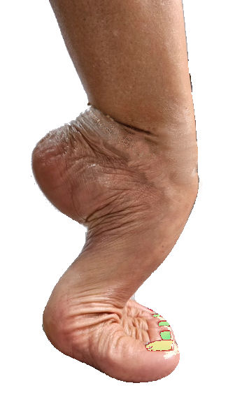 Rech. pied tres cambr� de femme pour seance photo