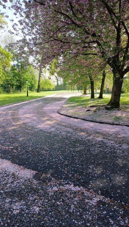 massage d�tente relaxation