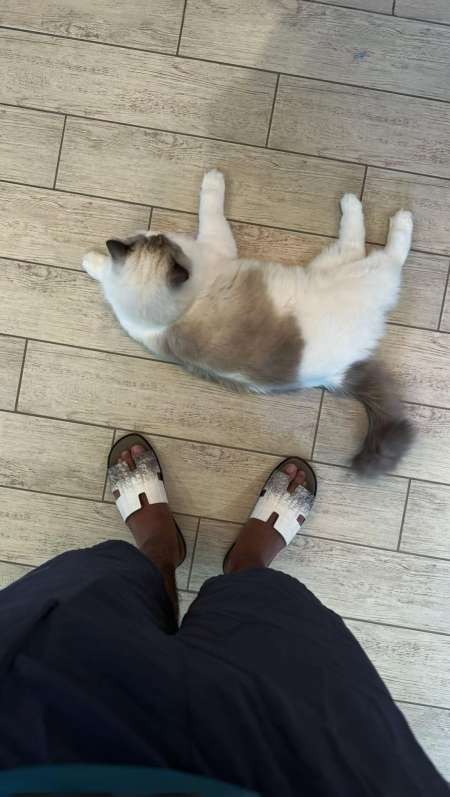 Black uniquement pour femmee.