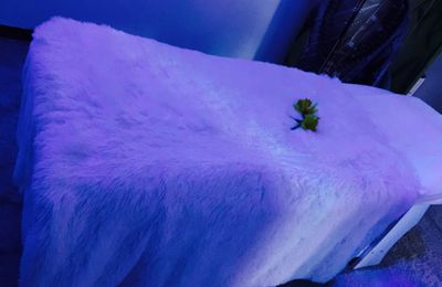 Massage tantrique africain