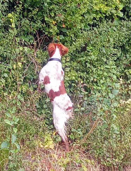 Homme recherche femme