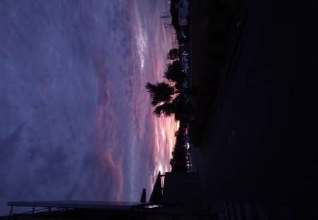 Jeune homme propose service d'accompagnement pour