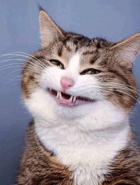 Cherch� bien un homme Propre age