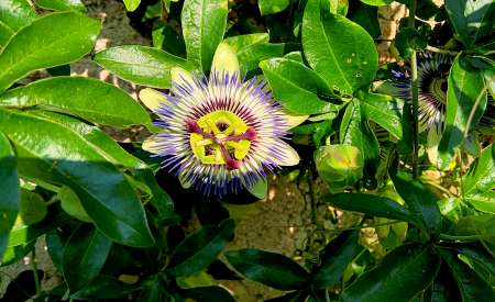 Homme sympa en Dordogne