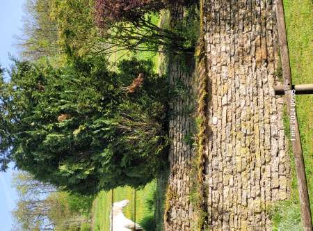 Homme pour femmes d'�ge mur