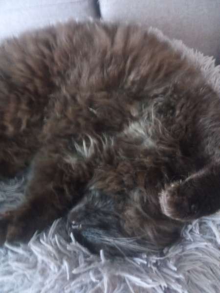 Rech femme directive pouvant recevoir en journ�e