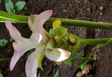 Homme cherche Femme pour amiti�