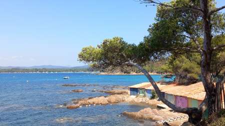 Pour le plaisir partag�