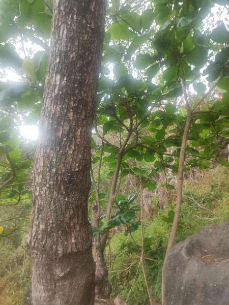 Recherche femme pour trio