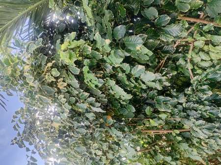 Plaisir intense pour femme