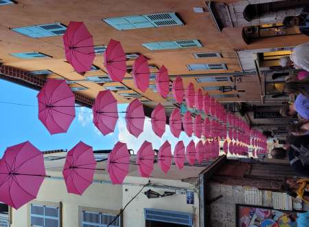 Rencontre amicale et plus si affinit�