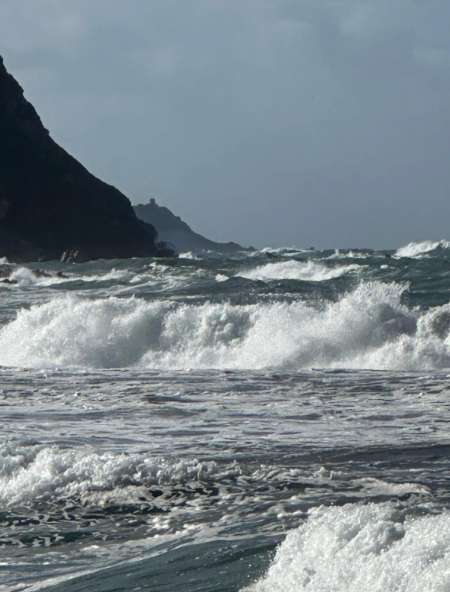 Plaisirs partag�s duo trio