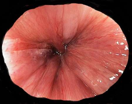 Qui de Tr�s Bien Mont� pour me D�puceler un H�t�ro