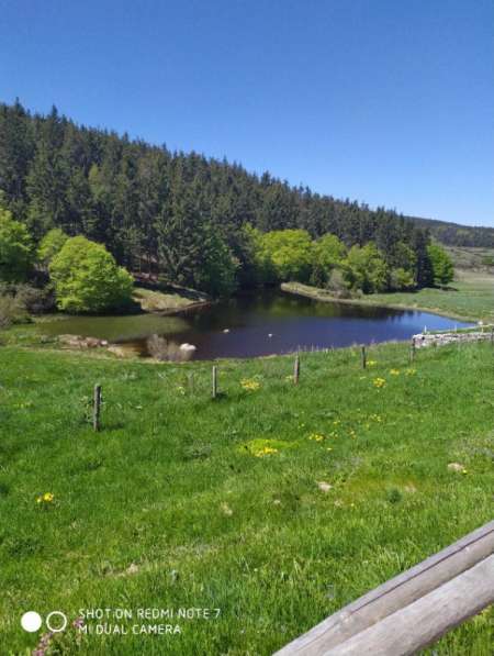 HOMME M�r propose Cunni � Femmes