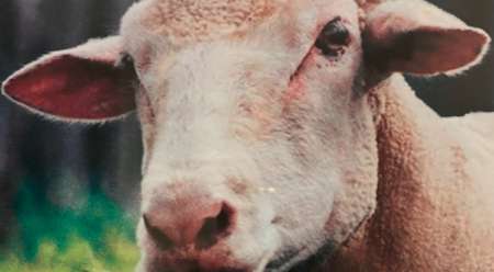 Bel homme cherche Fou CPL pour mon anniversaire