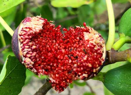 HOMME, Recherche Massages d�tente sensuel