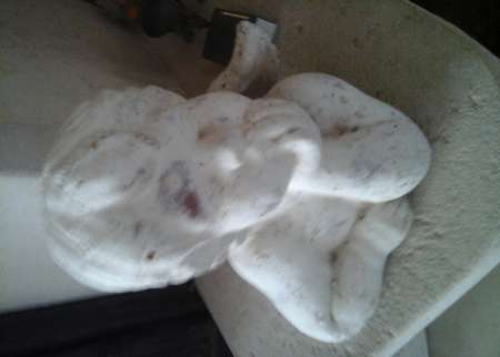 rencontrehagetmaumimizan