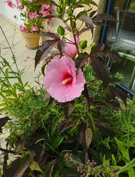 Recherche charmante personne