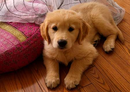 Bel homme mature h�t�ro 100 passif